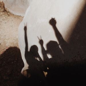 Meet your Posher, Randi